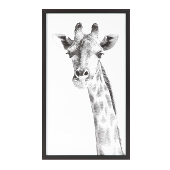 Постер Giraffe 40,6х70,6