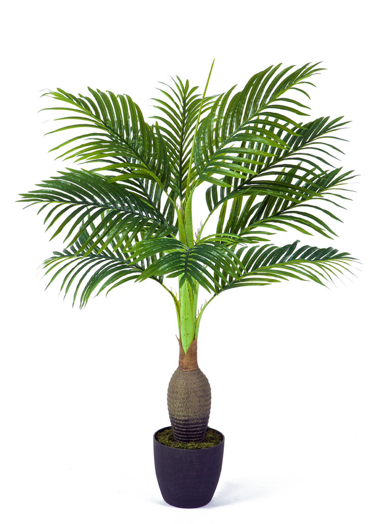Бутылочная пальма 120 см