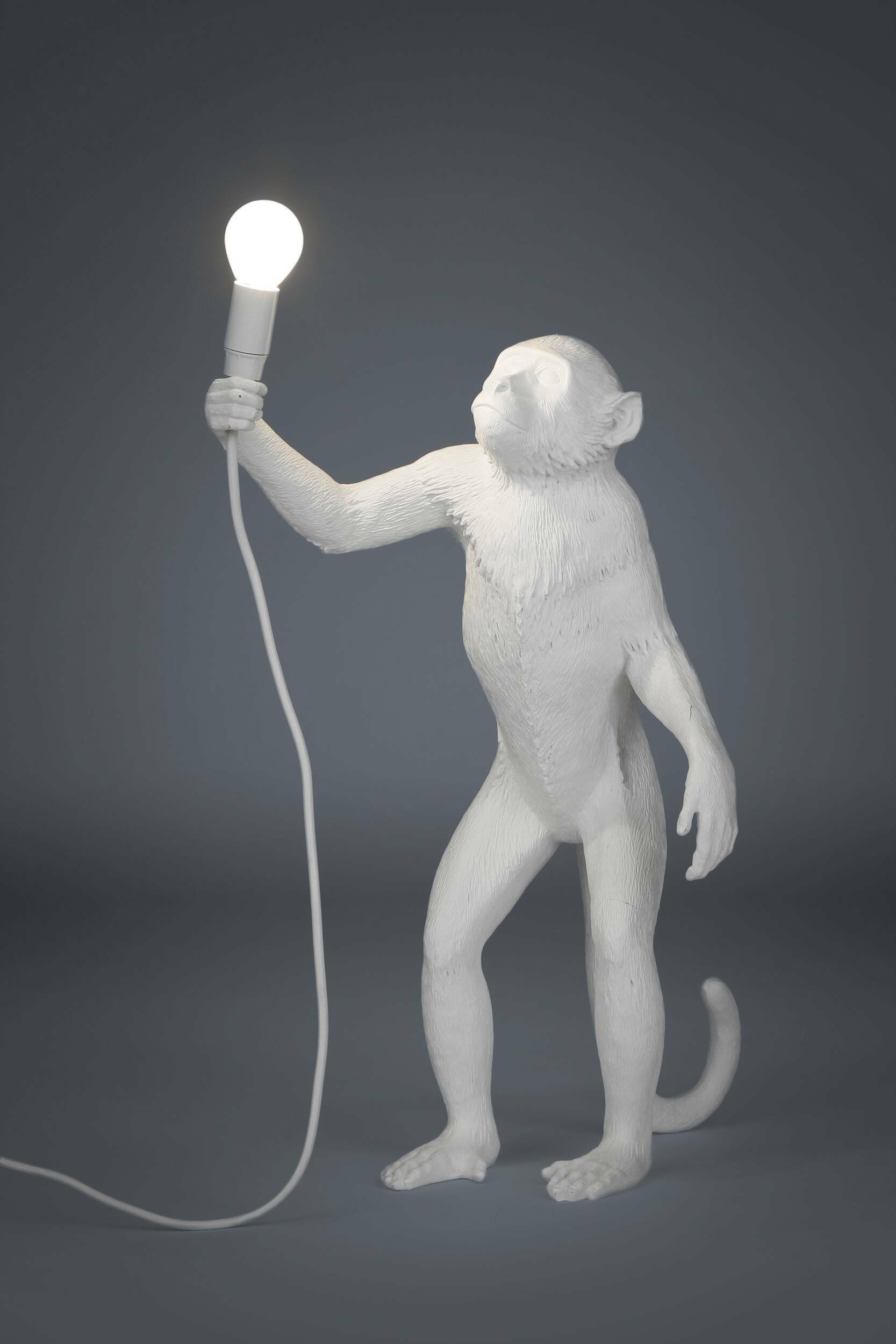 Настольный светильник Monkey 1
